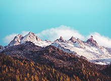 乐鱼leyu-内维尔谈切尔西球员围圈:像邪教,纯粹作秀,毫无意义,荒诞可笑